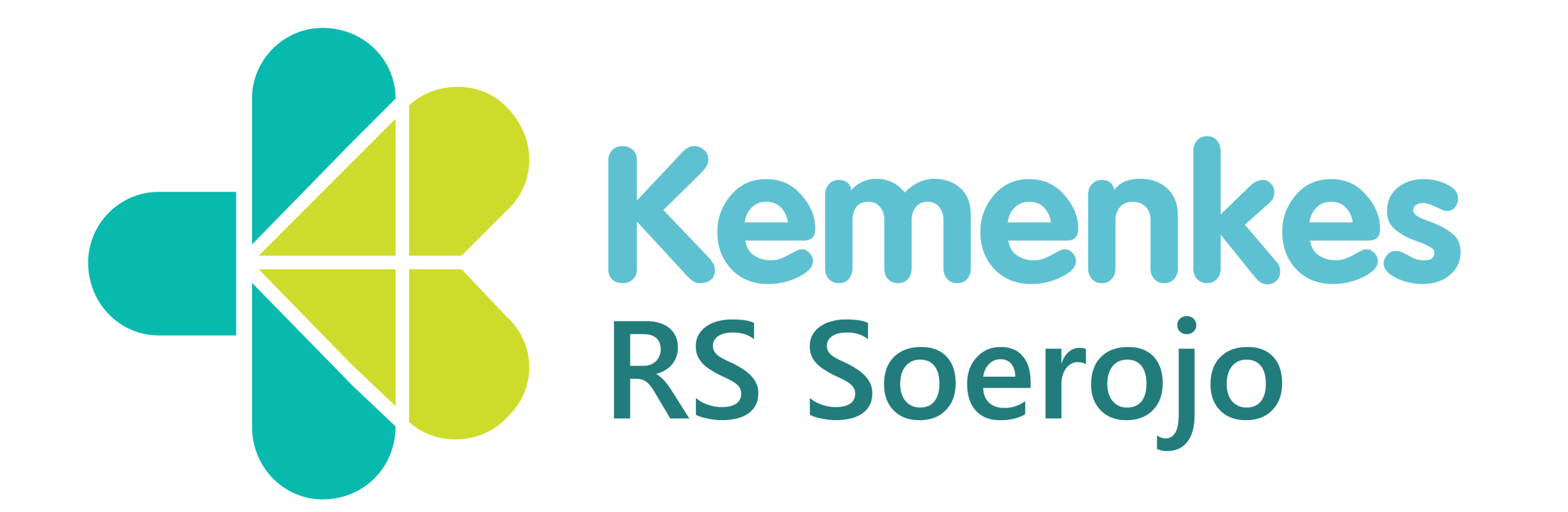 RSJ Prof. Dr. Soerojo Magelang