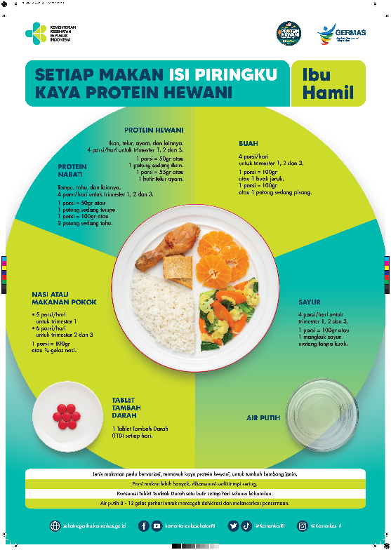 Tips GIZI SEimbang PADA IBU HAMIL